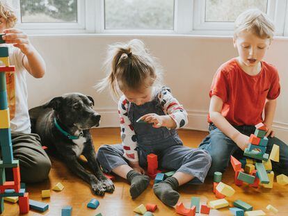 Las familias deben dedicar tiempo a jugar con sus hijos. Un tiempo de calidad que fortalecerá los lazos afectivos.