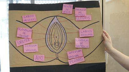 Dibujo explicativo de una vagina en el punto joven municipal en Tetuán que Vox ha criticado.