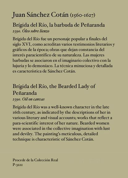 “Brígida del Río，佩纳兰达的大胡子女人”的新海报。