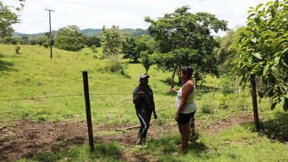 Linderos en una zona rural del departamento de Córdoba, en Colombia.