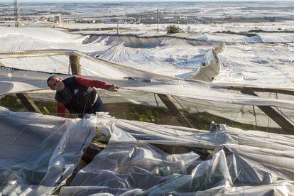 Los plásticos cubren un invernadero con calabacines en El Ejido (Almería)