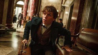 Eddie Redmayne, en 'Animales fantásticos y dónde encontrarlos'.