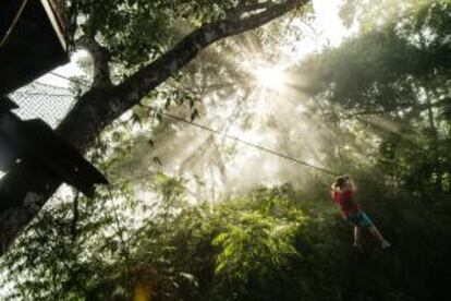 Un sistema de tirolinas entre las copas de los árboles en la reserva natural de Bokeo (Laos).