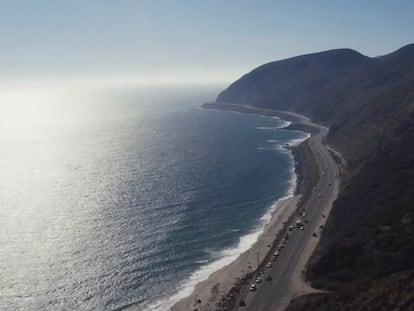 Conectar con la naturaleza es reconocer nuestras raíces