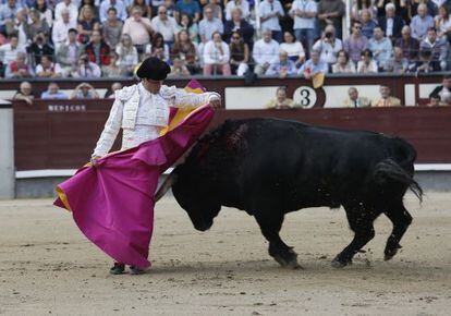 El diestro Miguel Abell&aacute;n con uno de sus seis toros, ayer en Madrid.