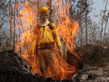 Un bombero durante los combates de los incendios en la selva amazónica brasileña.