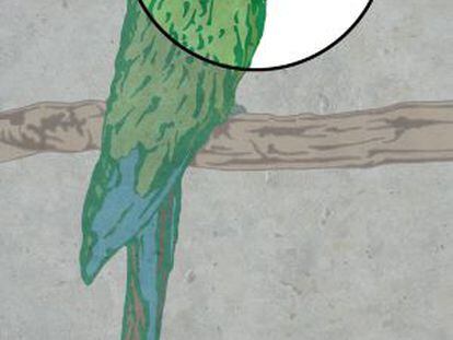El papagayo verde