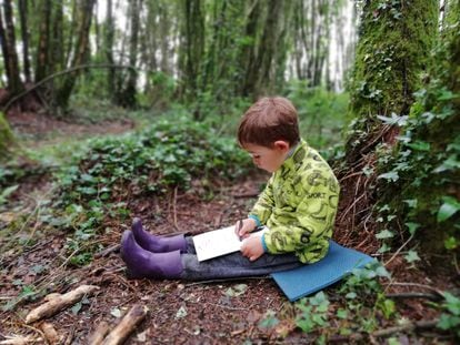 Un niño dibuja en una actividad de la escuela-bosque Nenea, en Lugo