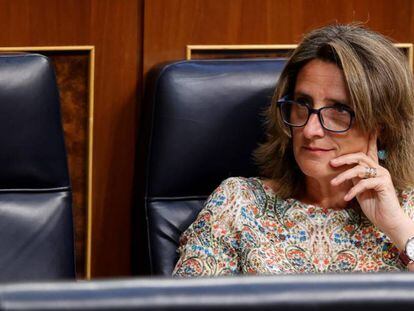 Teresa Ribera, ministra para la Transición Ecológica.