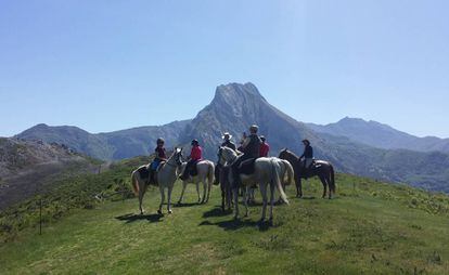 Ruta a caballo por la sierra de Gredos (Ávila).