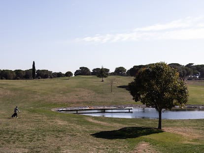 Un hombre pasea por el Club de Golf Montbru de Moià, en el Moianès, este jueves.