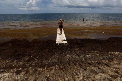 A woman walks on a bridge surrounded by sargassum in Puerto Morelos, near Cancun. 