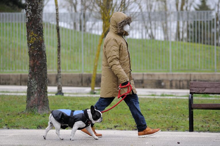 Coronavirus Qué hacer (y qué no) con su perro durante la