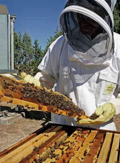 Centro de Experimentación Agraria de Marchamalo (Guadalajara).