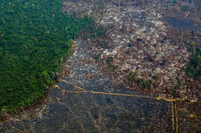 Una zona de la Amazonia deforestada en una vista aérea tomada en agosto pasado en la reserva biológica de Altamira.