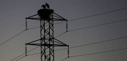 Dos cigüeñas permanecen en el nido de la torre de un tendido eléctrico.