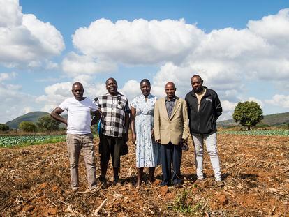 Los excultivadores de tabaco sudafricanos Ashley Tshiala, Marcus Murabi, Hudson Maselele y Divhani Neluheni, en un terreno para la producción de coles.