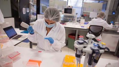 Una científica trabaja en la elaboración de carne cultivada en un laboratorio de Biotech Food en San Sebastián, Gipuzkoa.