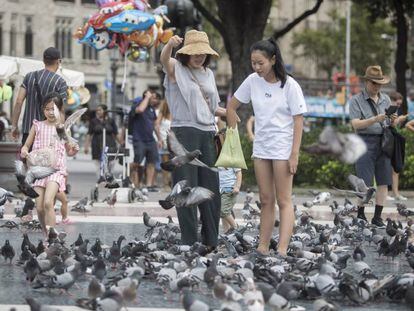 Turistas dando comida a las palomas en plaza de Catalunya
