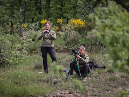 Elsa Sanchez (de pie) y Begoña Almeida, en una jornada de trabajo de la Patrulla Oso en las montañas palentinas.