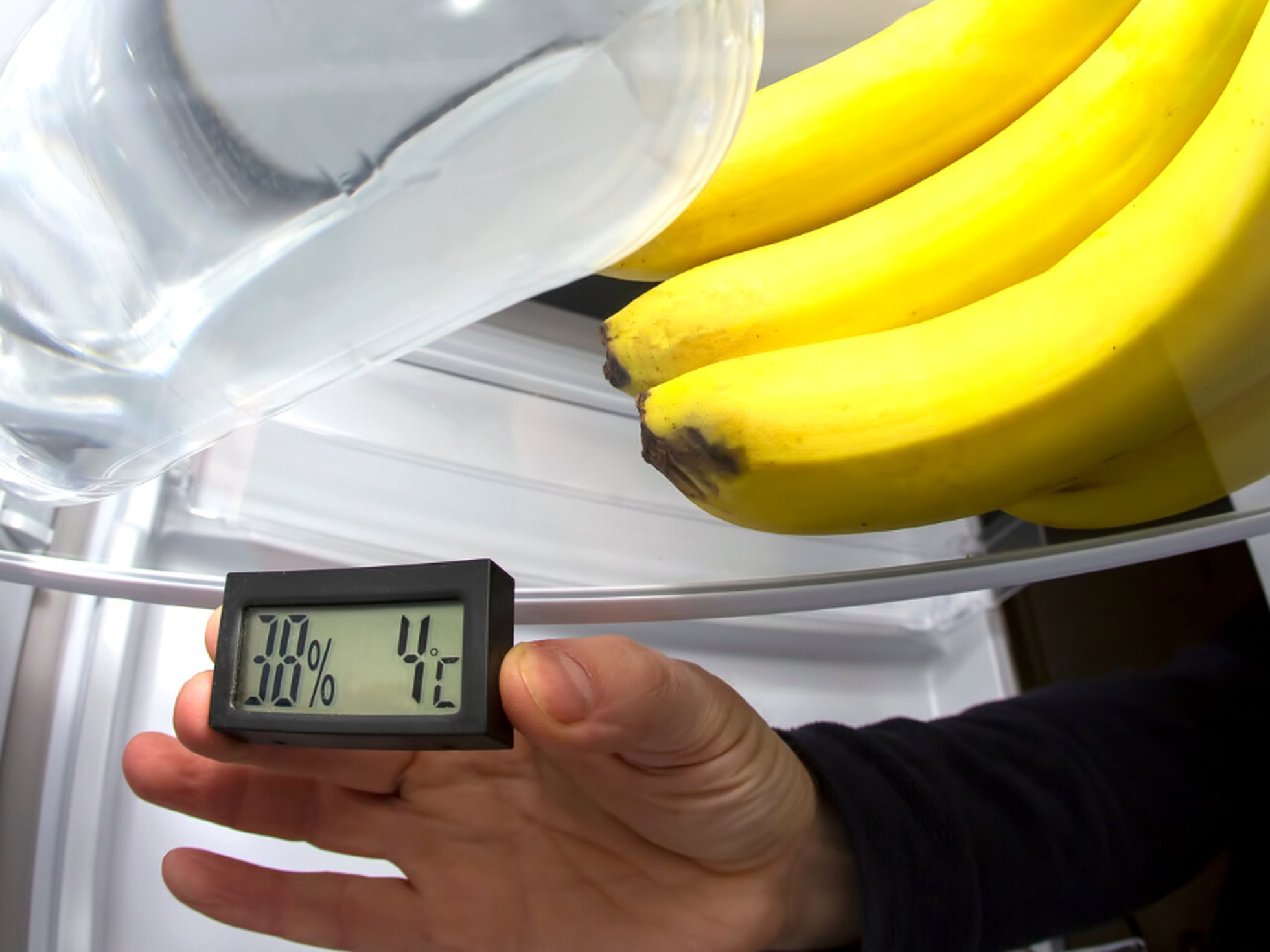 Termómetro digital para nevera y congelador con alarma de temperatura y  función máxima mínima – Termómetro de refrigerador para refrigerador y