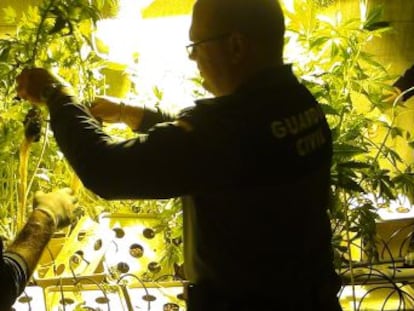 Dos agentes de la Guardia Civil, en una intervención de marihuana en Burguillos (Sevilla).