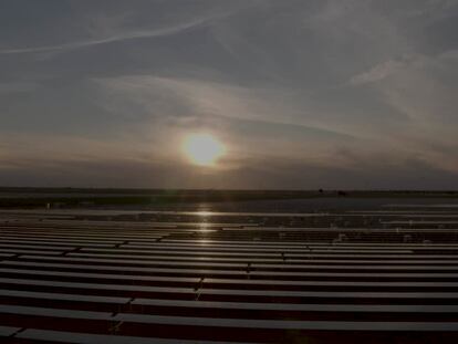 Repsol inaugura en Ciudad Real su primer complejo fotovoltaico con 126,6 MW