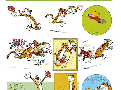 Comic Calvin y Hobbes