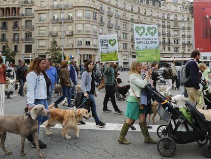 Manifestación en Barcelona para que los perros puedan entrar en el Turó Park.