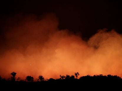 Incendio en la selva amazónica cerca de Humaita, estado de Amazonas (Brasil), el 17 de agosto de 2019.