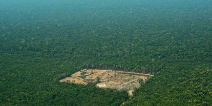 Área desforestada en el Amazonas, en septiembre de 2017.