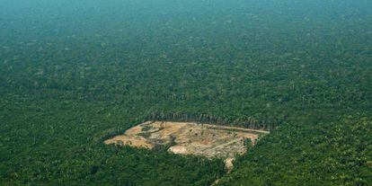 Área desforestada en el Amazonas, en septiembre de 2017.