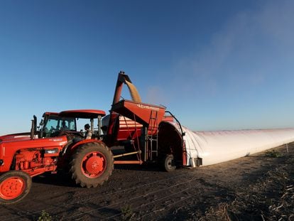 Un camión descarga granos de soja en una bolsa de silo en Chivilcoy, en las afueras de Buenos Aires, en abril de 2020.