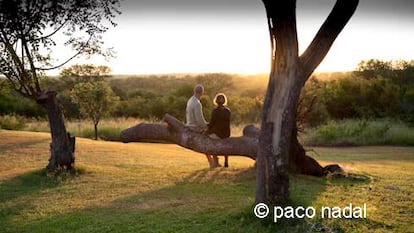 Yo tenía una granja en África...