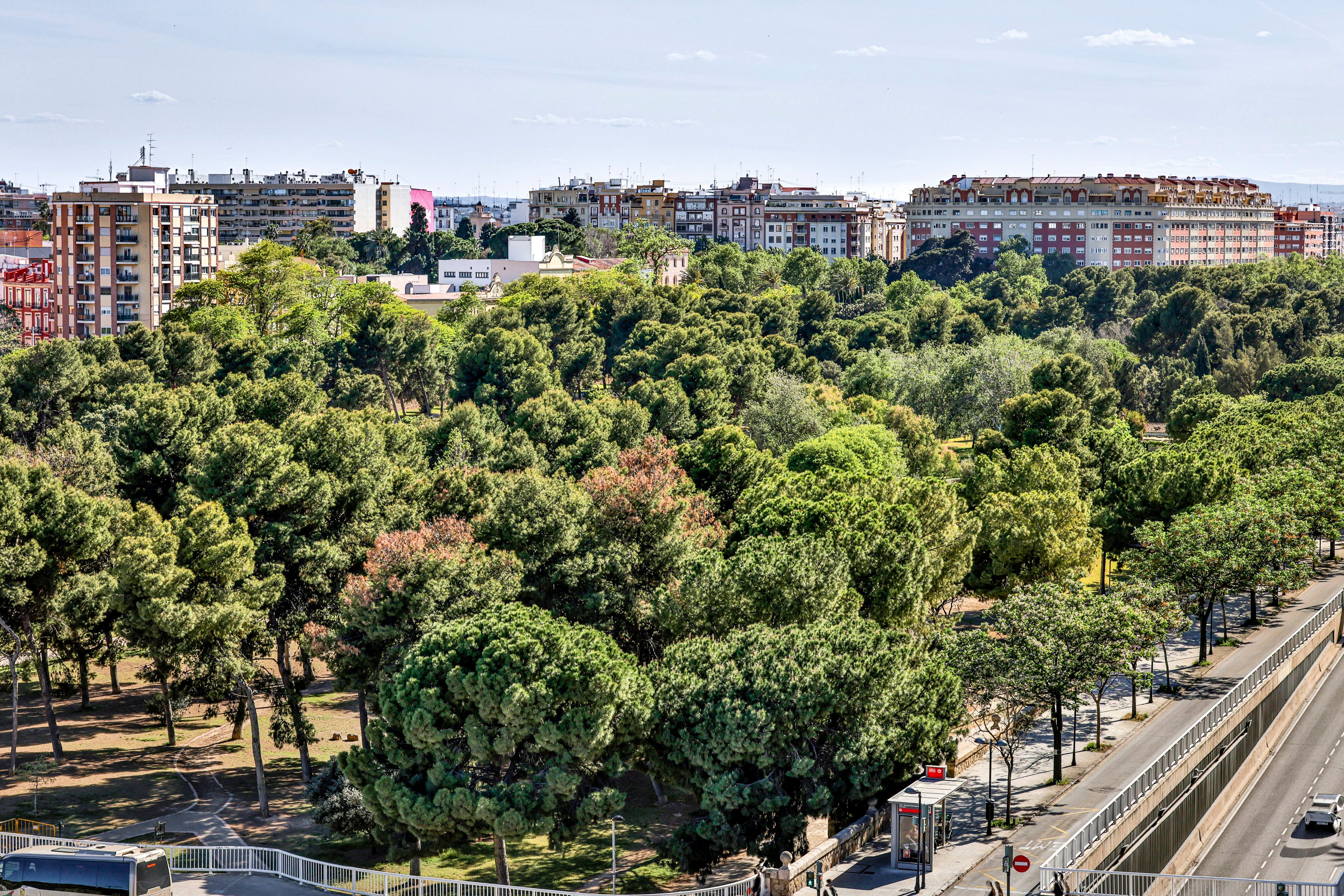 Valencia, la capital verde europea más desapercibida