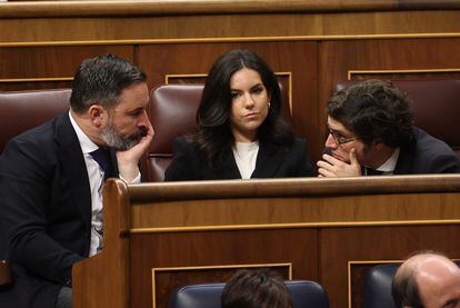 Los diputados de Vox, Santiago Abascal, Pepa Millán y  José M. Figaredo, siguen desde sus escaños el discurso de investidura de Pedro Sánchez.