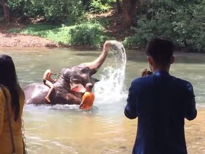 Un elefante salpica con su trompa a un niño subido encima de él.