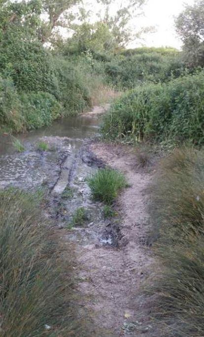 Acumulación de lodos fecales en el arroyo Morenillo.