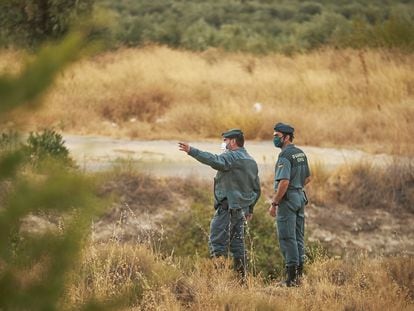Agentes de la Guardia Civil desplegados en el dispositivo en búsqueda de la pantera en Ventas de Huelma (Granada). / FERMÍN RODRÍGUEZ