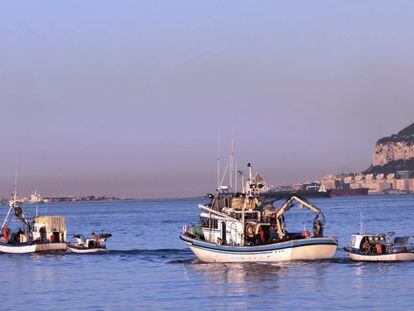Pesqueros en el puerto de Algeciras.