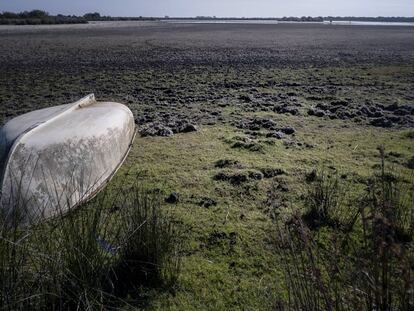 Las lagunas desaparecen de Doñana