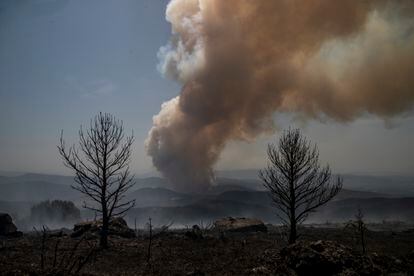 La comunidad gallega ya tiene perimetrados los doce incendios que afectan a sus montes. En la imagen, vista del incendio en Saa en A Pobra de Brollón (Lugo), este domingo.
