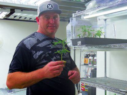 Randall Patten, en su plantaci&oacute;n de marihuana.