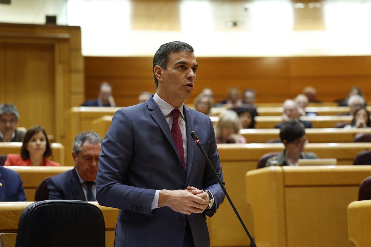 Political day of March 12, 2024 |  The Senate approves its commission on the ‘Koldo case’ with the vote in favor of the PSOE |  Spain