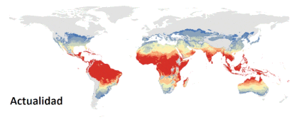 Esta es una proyección del avance del mosquito 'Aedes aegypti' en el escenario más radical de calentamiento global. Ver imagen de abajo con las proyecciones en distintos escenarios y mosquitos, así como la explicación de la leyenda por colores.
