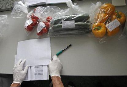 Un trabajador del laboratorio de referencia de la República Checa para las enfermedades infecciosas, en Brno, prepara muestras de verduras para su análisis