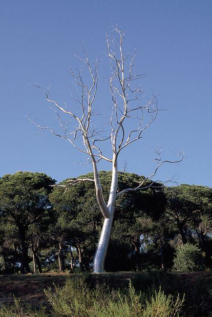 El árbol metálico <i>Transplant,</i> obra de Roxy Paine, mide 10 metros.