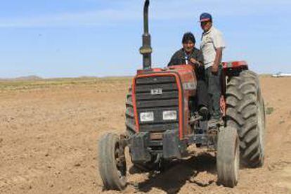 El presidente de Bolivia, Evo Morales (i), conduce un tractor en el inicio de la siembra de la quinua en una parcela de su propiedad al destacar la importancia de este grano para la alimentación.