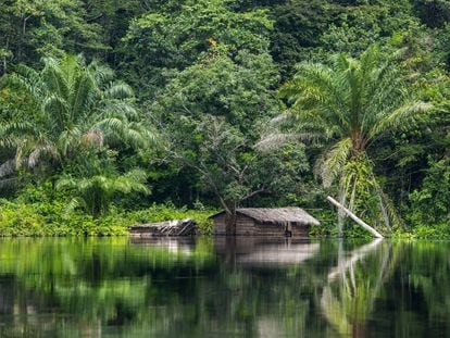 El río Congo a su paso por la provincia de Équateur, en la República Democrática del Congo