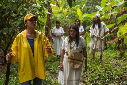 Habitants de l'Amazones recorren els camps de cacau durant la visita del xef.